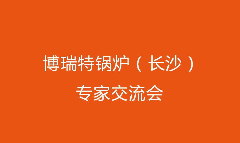 博瑞特鍋爐（長沙）專家交流會圓滿落幕！